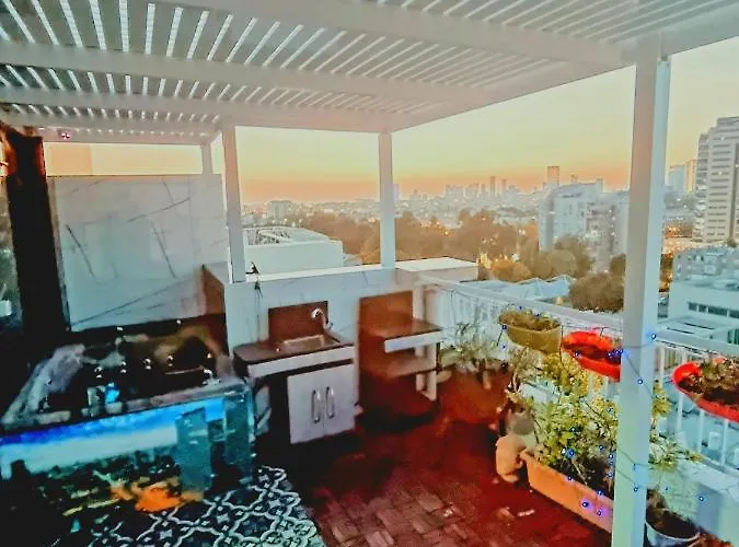 Avi\'S Place